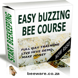 Bee course
