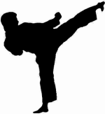 karate karate