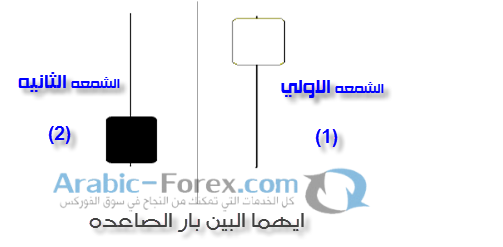 Arab forex forums