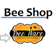 Online Bee Store!
