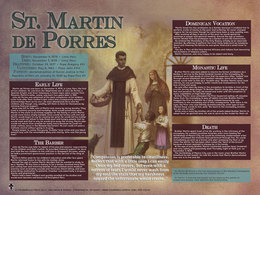 St. Martin de Porres  Explained Poster image