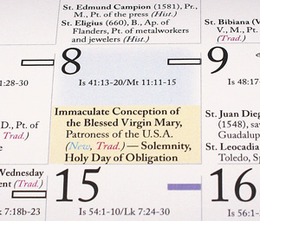 Holy days of obligation feature image