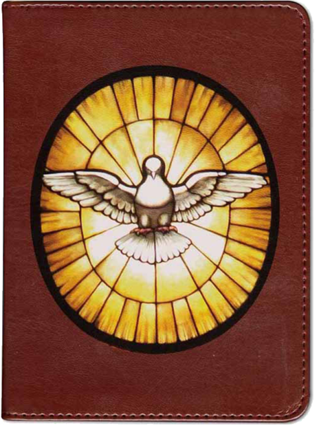 Holy Spirit Bible