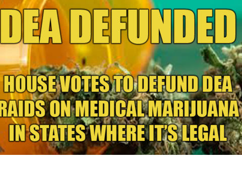 DEA Defunded