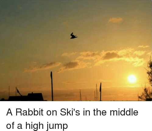 [Enable images to see the ski-jumping bunny]