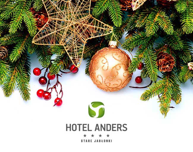 Hotel Anders / Biznes Zima 2015