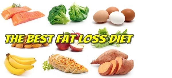 The Best Fat Loss Diet - Pros and Cons
