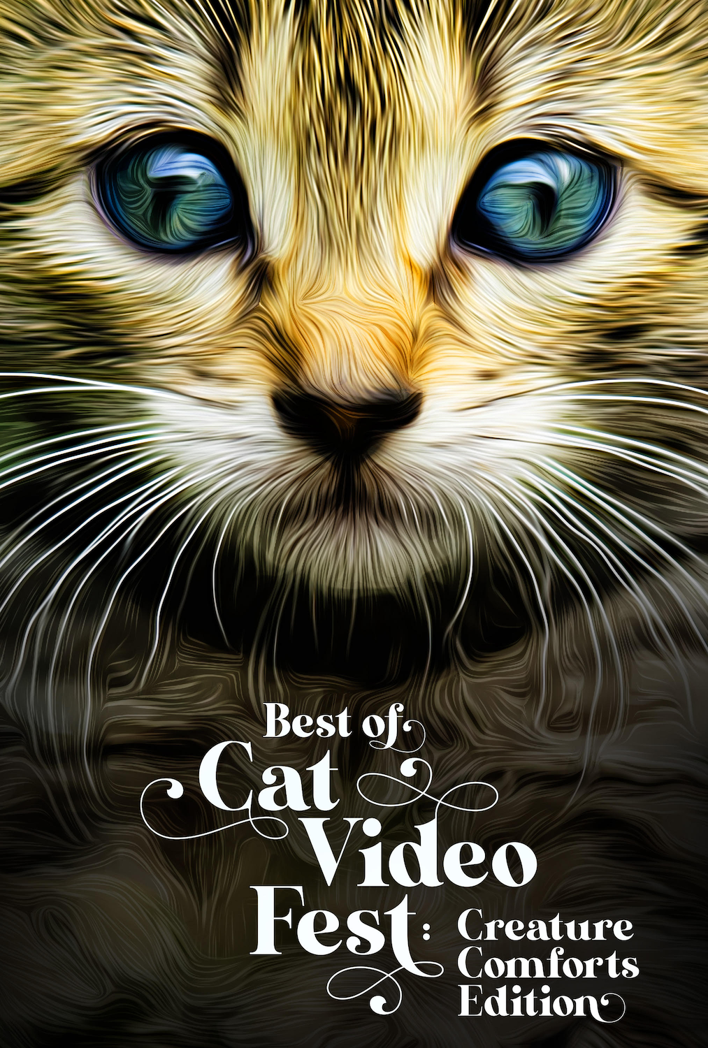 Best of Cat Video Fest