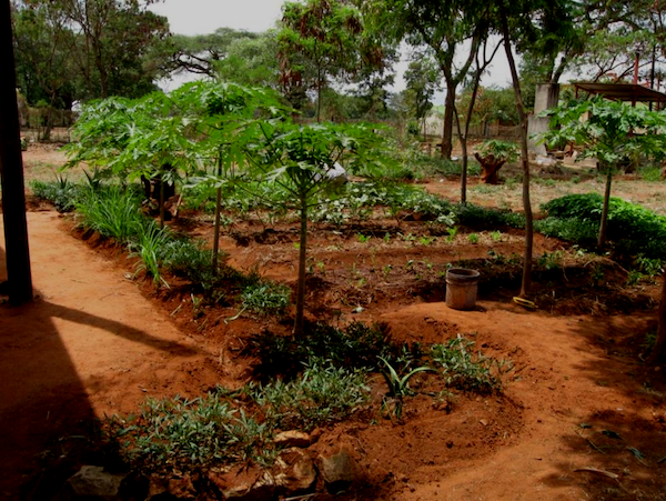 permagarden